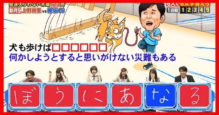 ぼうにあなる - ネプリーグ, 犬も歩けば