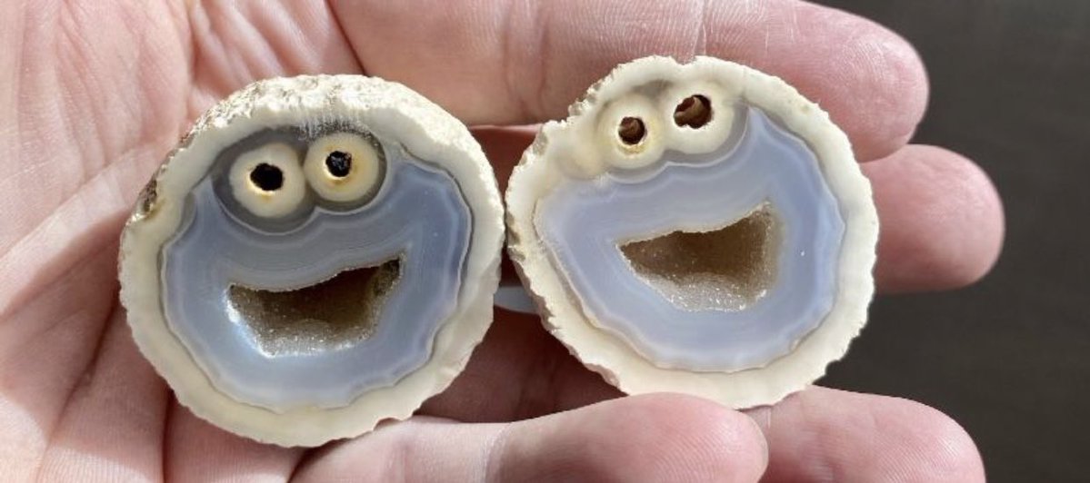 クッキーモンスターな見た目の鉱物 - 断面, セサミストリート