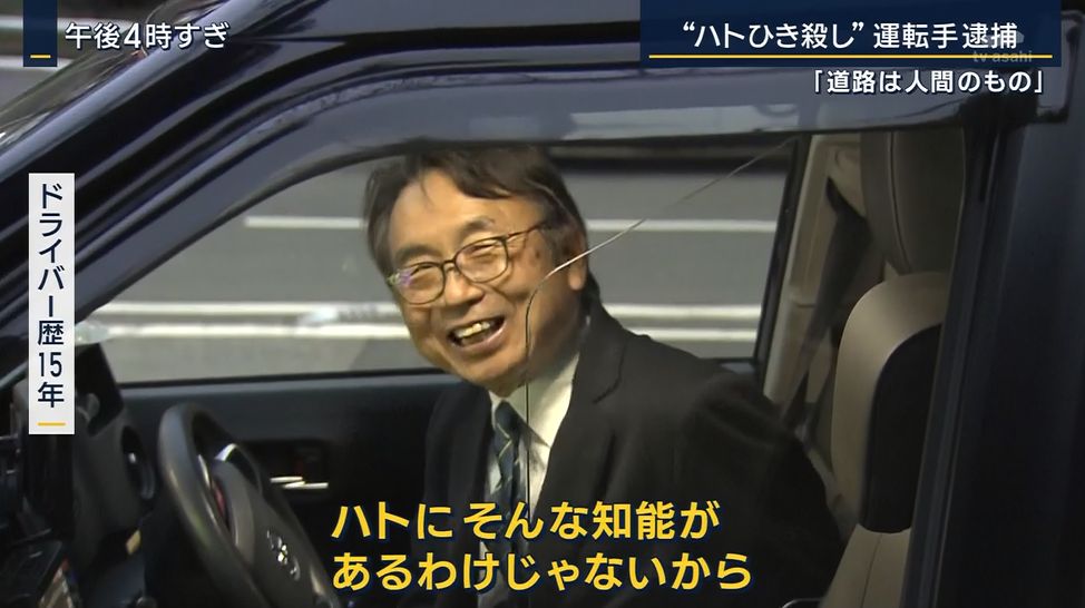 ハトにそんな知能があるわけじゃないから - タクシー