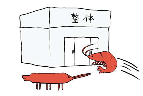 整体に行ったエビ
