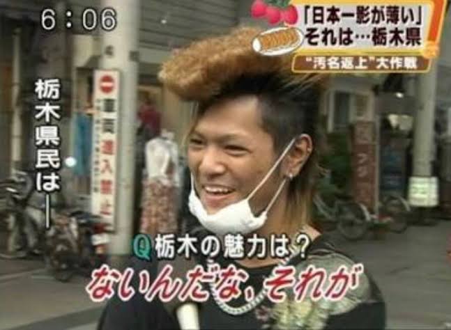 ないんだな、それが - 栃木の魅力は？