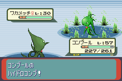 ワカメッチ コンブール - ポケモン, デマ