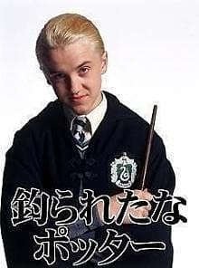 釣られたなポッター - 釣り, マルフォイ