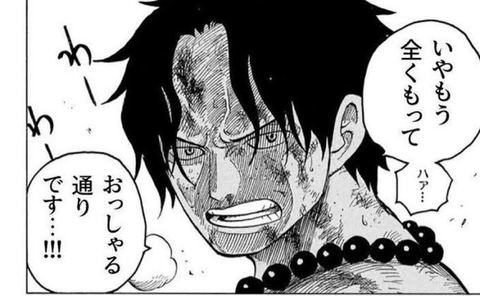 おっしゃる通りです - ワンピース, エース