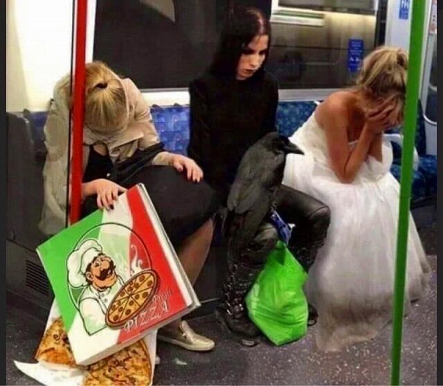 三者三様 - 海外, 情報量多い, ピザ, カラス, 地下鉄