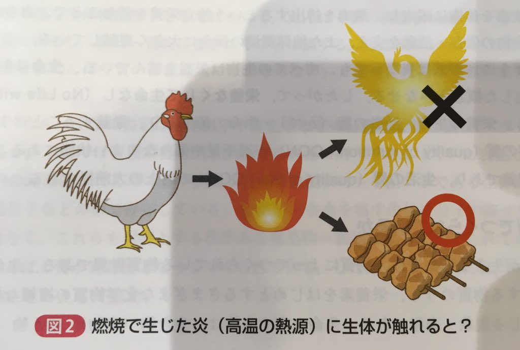 動物生理学の本 - ニワトリ, 不死鳥, 焼き鳥