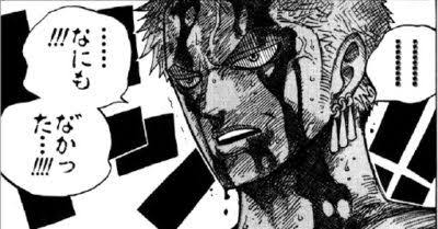 なにもなかった - ワンピース, ゾロ