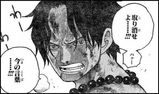 敗北者 - 取り消せよ, 今の言葉, ワンピース, ONEPIECE